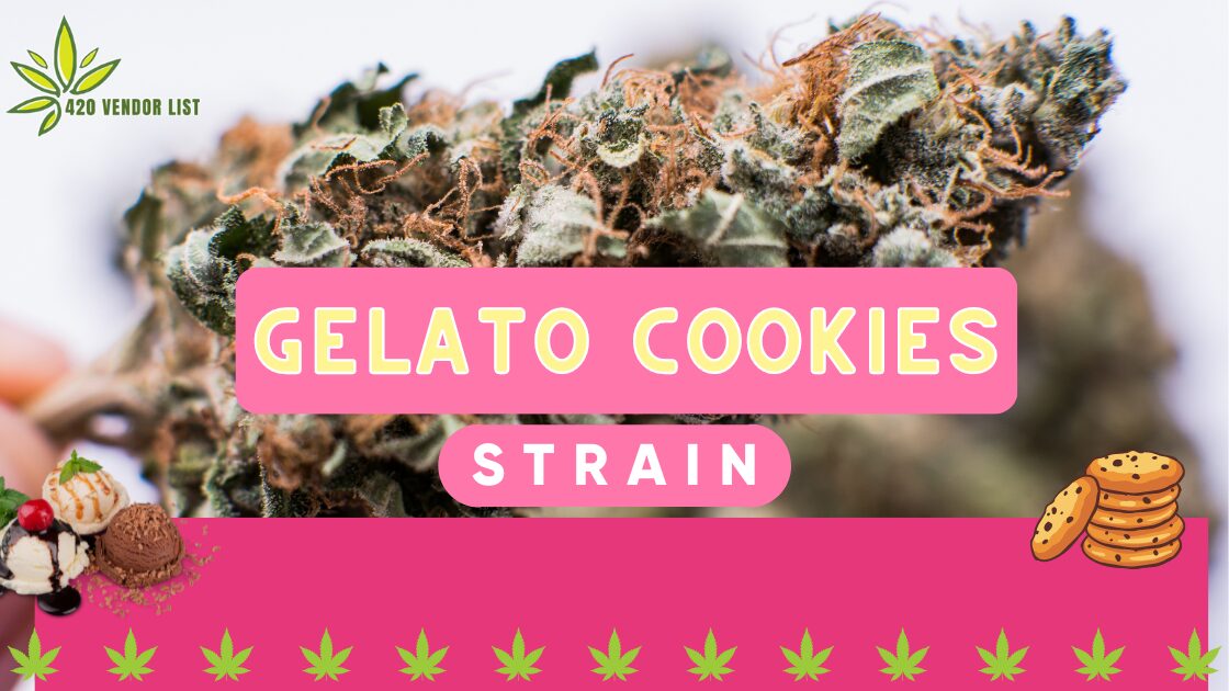 Quick Mind High With Gelato Cookies Strain [Weed Review]
