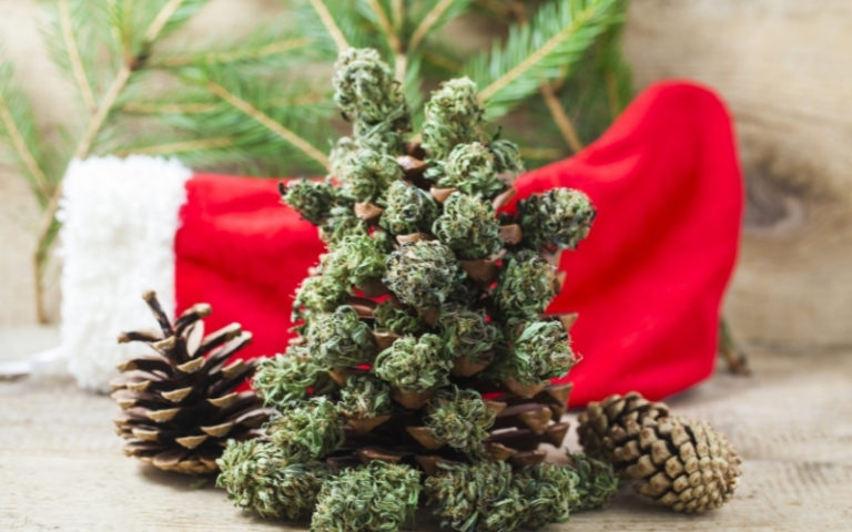 Marijuana Christmas Tree