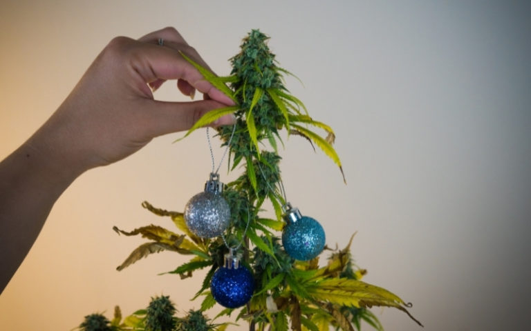 Marijuana Christmas Tree