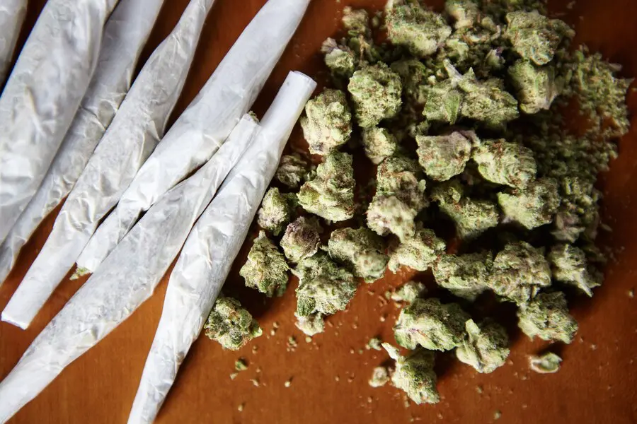 Exquisite CBD Pre-Rolls For A Relaxing Experience Near You-1