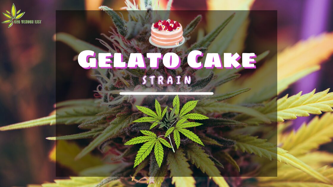 Gelato Cake Strain