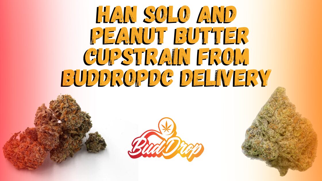 A Review of Han Solo Strain and Peanut Butter Cup Strain from BudDropDC Delivery