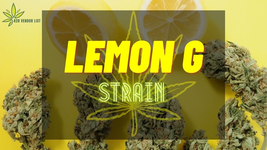 What Is Lemon G Strain – Complete Information And Review