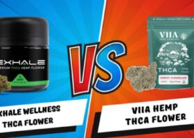 Exhale Wellness VS VIIA Hemp THCA Flower