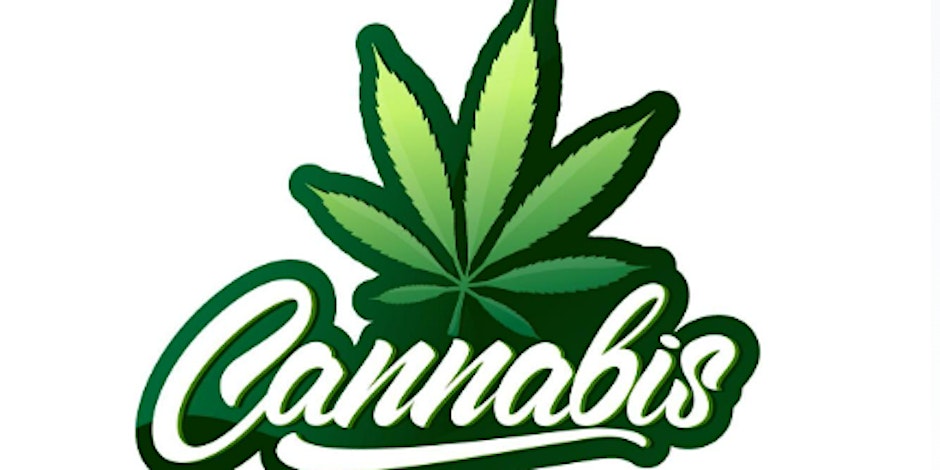 Major Franchise Opportunity Start Your Own Online Cannabis In Person Free Event By Crystal Dobson