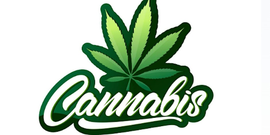 Major Franchise Opportunity Start Your Own Online Cannabis Store Free Event By Crystal Dobson