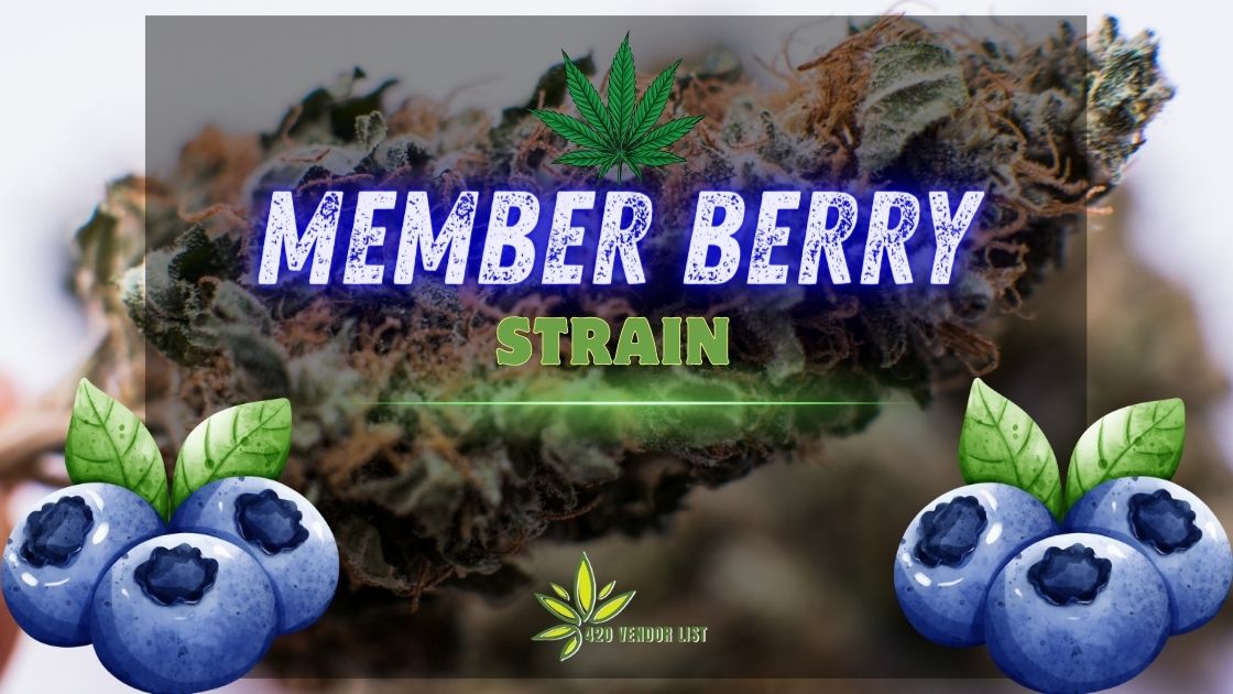 Read This Before You Try the Member Berry Strain