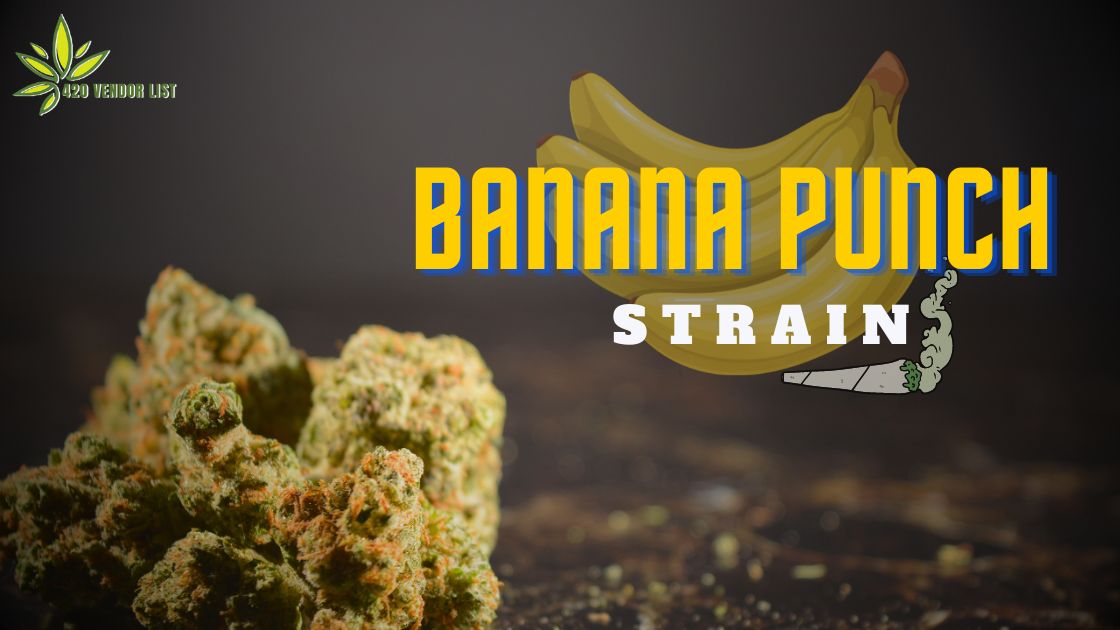 Banana Punch Strain
