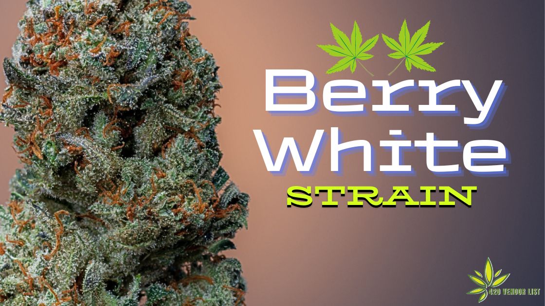 Berry White Strain