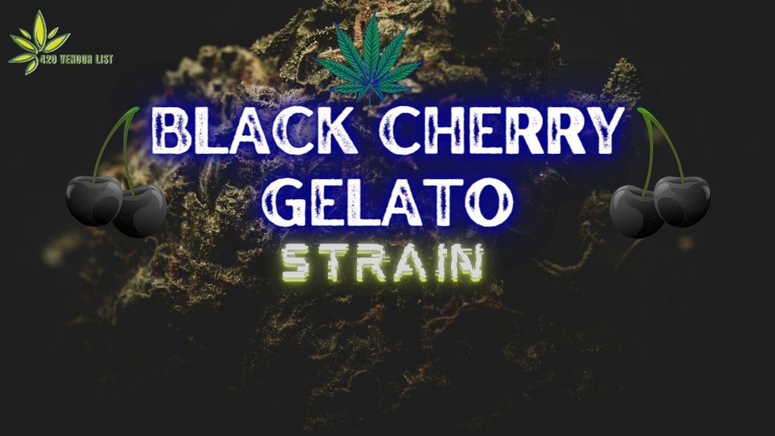 Black Cherry Gelato strain