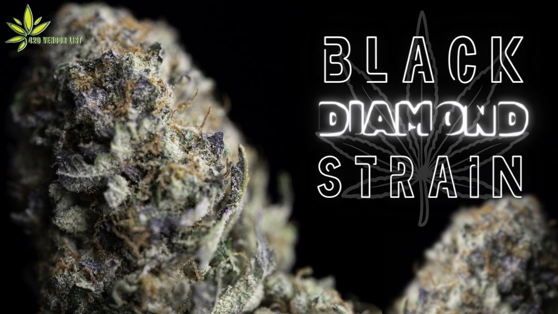 Black Diamond Strain: A Rare Medicinal Gem