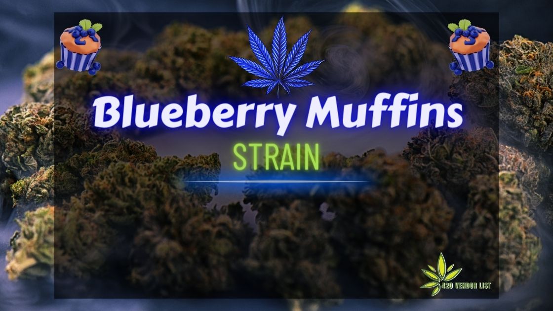 Blueberry Muffins strain