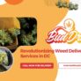 buddrop-dc-revolutionizing-weed-delivery-services-in-dc