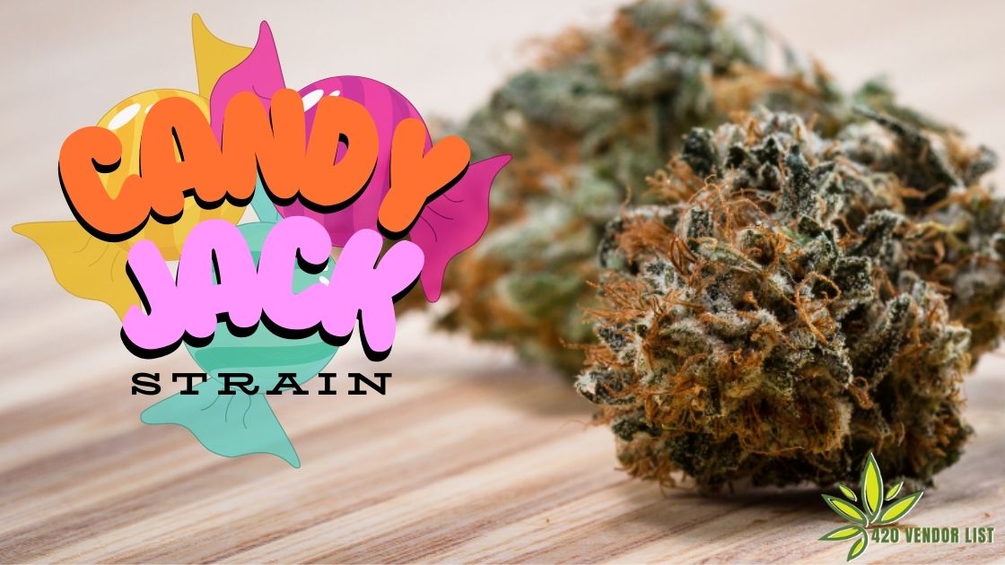 Candy Jack Strain Review: Is It Worth All The Hype?