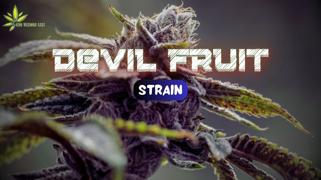 Devil Fruit Strain