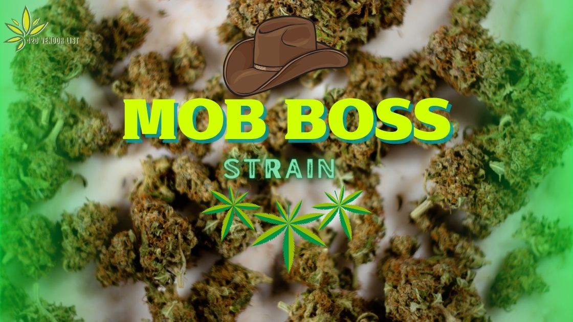 How Good Is the Mob Boss Strain?