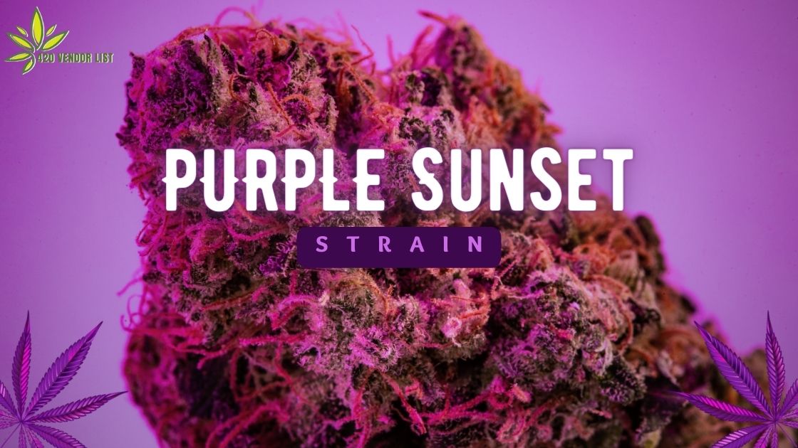 Wind Down With Purple Sunset – Strain Information and Review