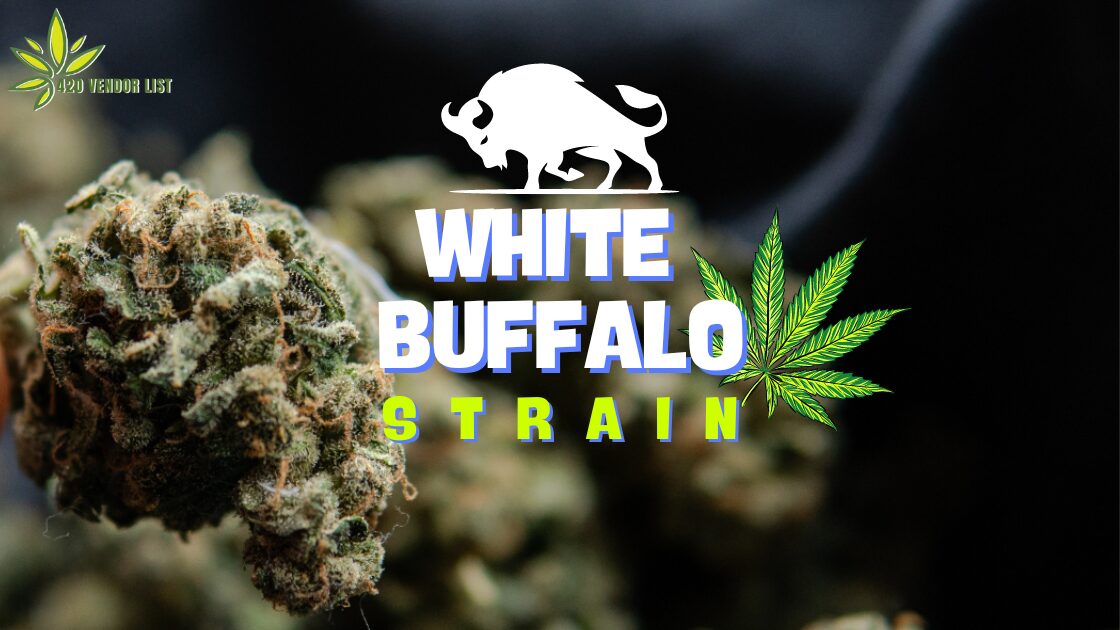 Discover the Magic of White Buffalo Strain: A Potent Cannabis Treasure