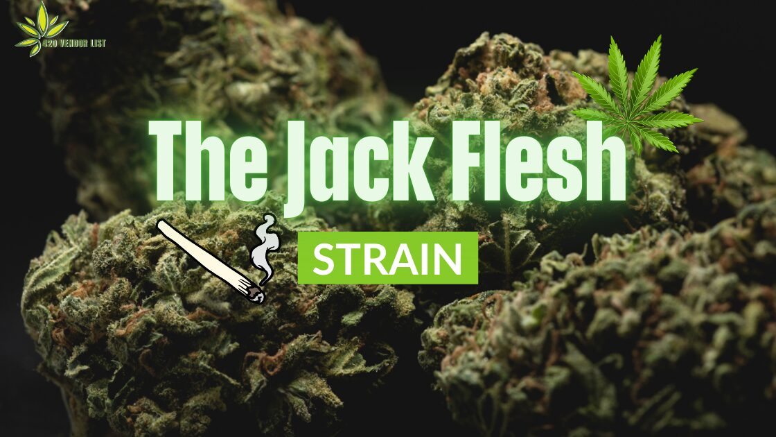 Feel Invincible With The Jack Flesh Strain – Weed Strain Review