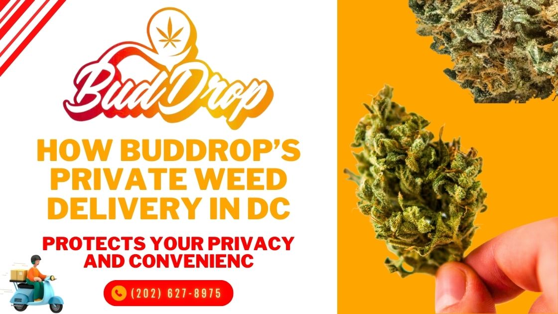 How BudDrop’s Private Weed Delivery in DC Protects Your Privacy and Convenienc