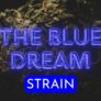 the-blue-dream-strain-get-your-levels-righteous-pros-cons