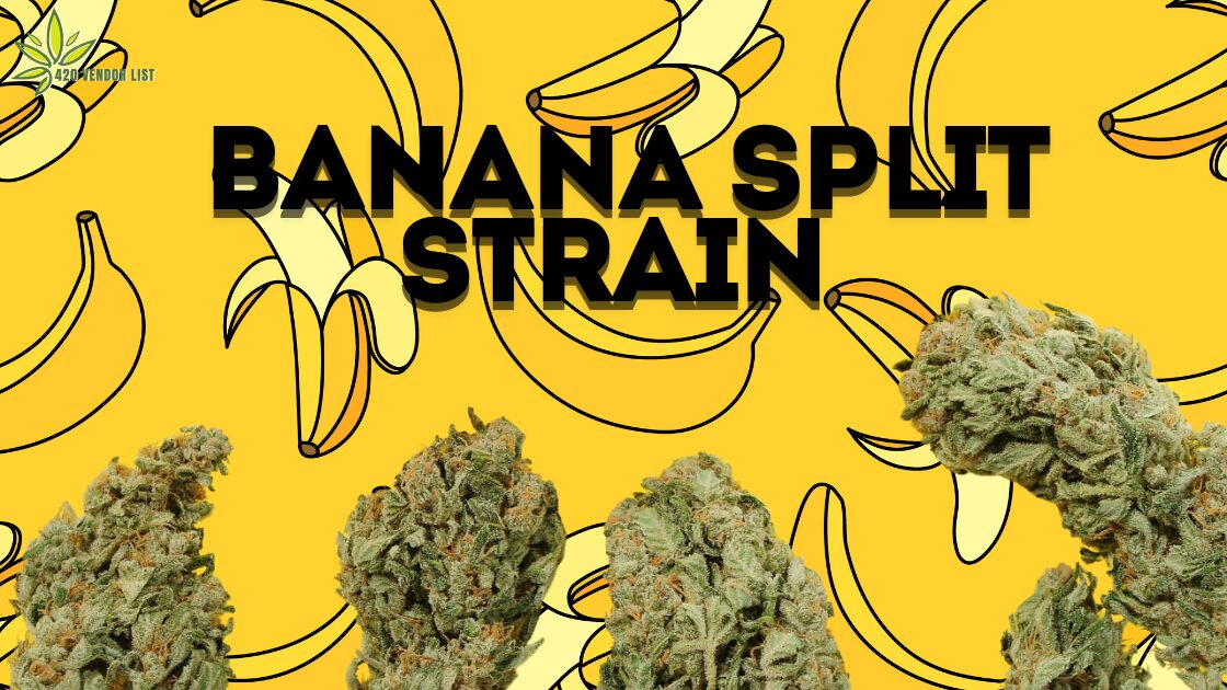 Banana Split Strain