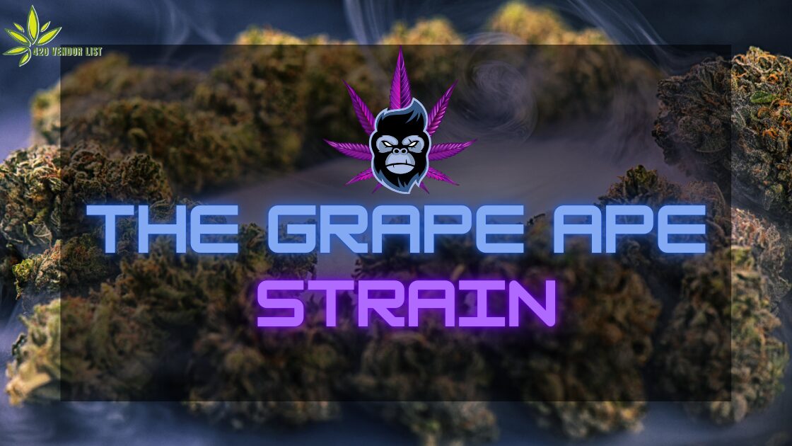 How Good Is The Grape Ape Strain?