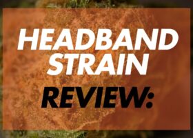 HeadBand Strain