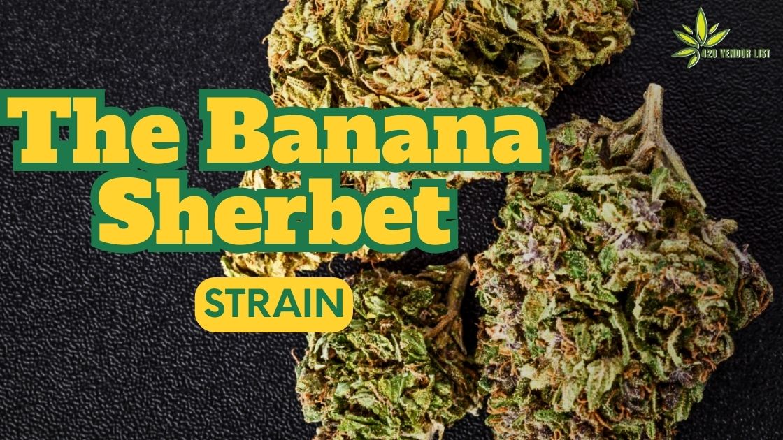 The Banana Sherbet Strain