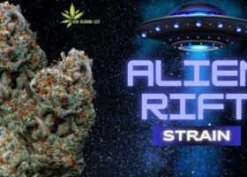 The Alien Rift Strain