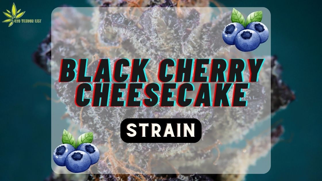 Black Cherry Cheesecake Strain