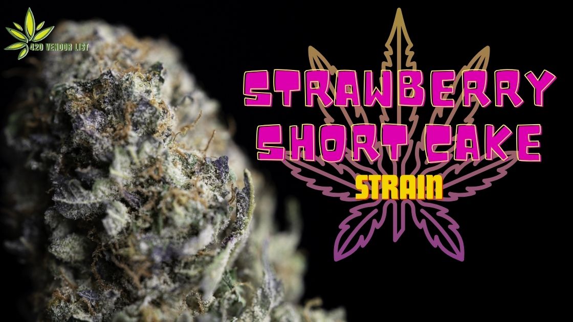 Strawberry Shortcake Strain Review: Is It Worth It?