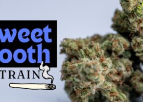 Sweet Tooth Strain