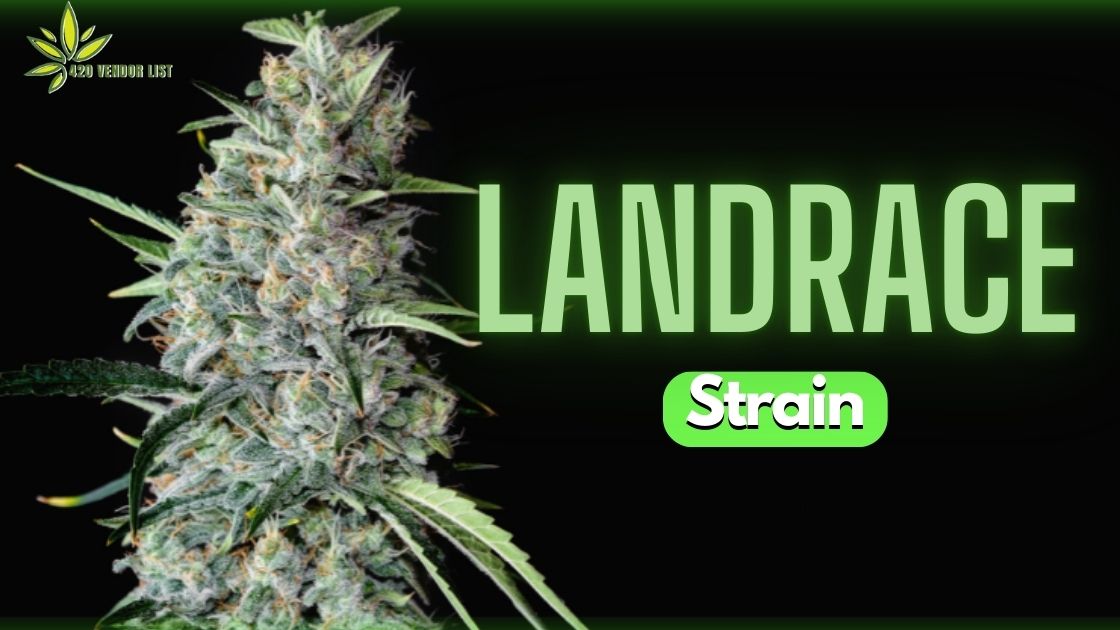 Landrace Strain