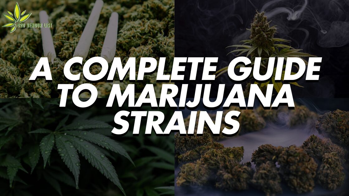 Marijuana Strains