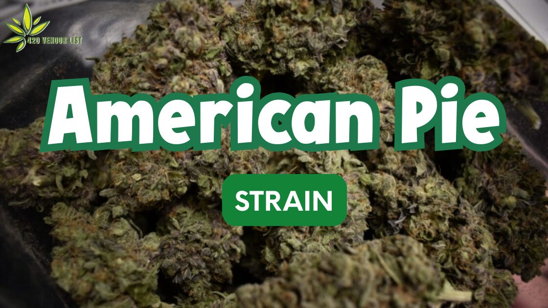 American Pie Strain