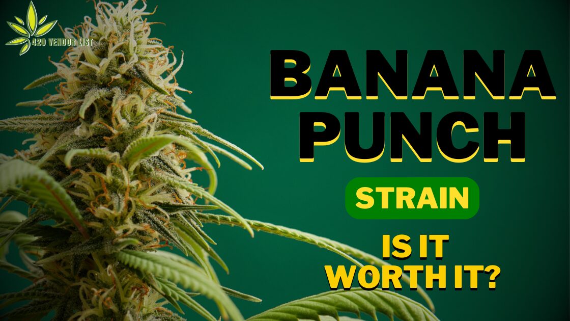 Banana Punch Strain