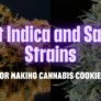 best-indica-and-sativa-strains-for-making-cannabis-cookies