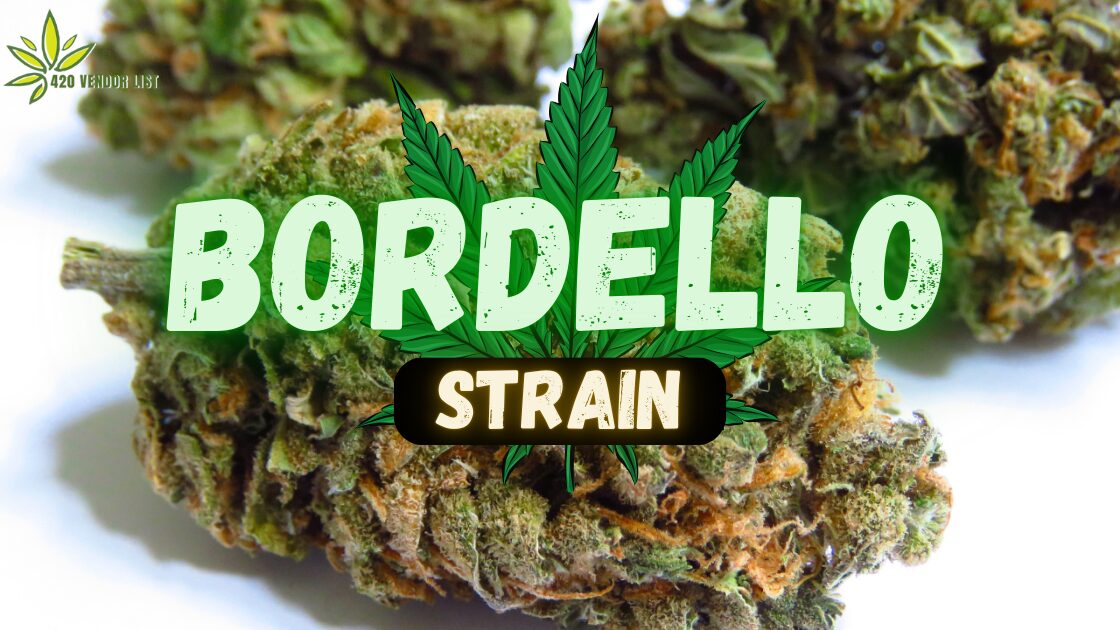 Bordello Strain