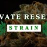 cure-pain-with-the-private-reserve-strain