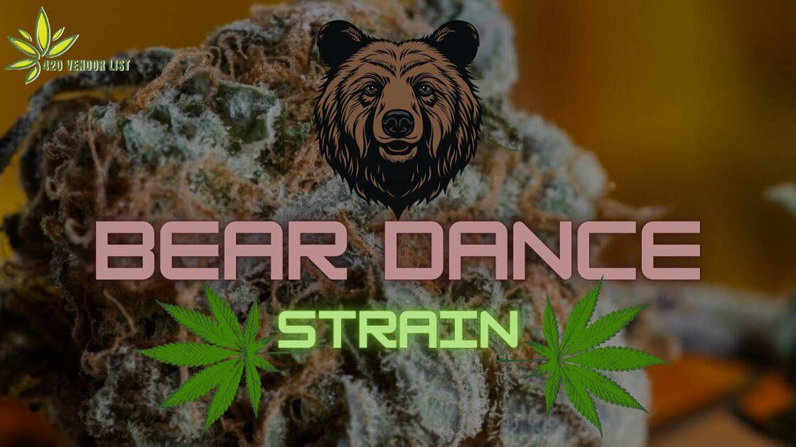 Bear Dance Strain