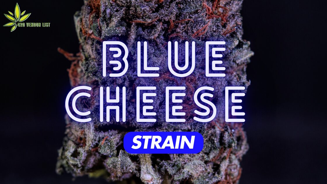 Blue Cheese Strain