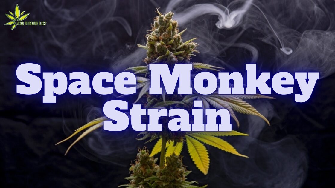 Space Monkey Strain