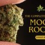 the-complete-guide-to-moon-rocks