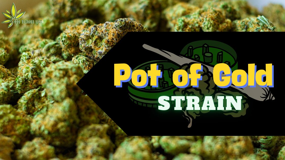 The Pot of Gold Strain – Just How Lucky is It