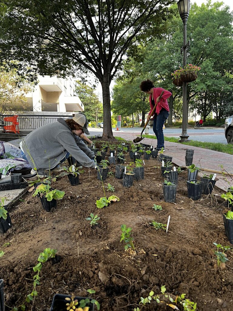 Weeding and Reading | Garden Maintenance Day