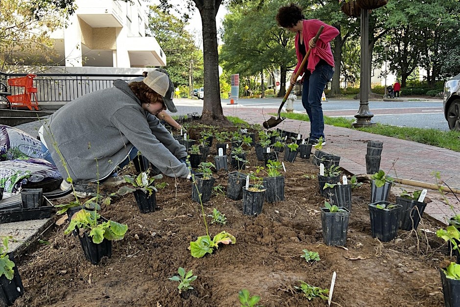 Weeding and Reading | Garden Maintenance Day