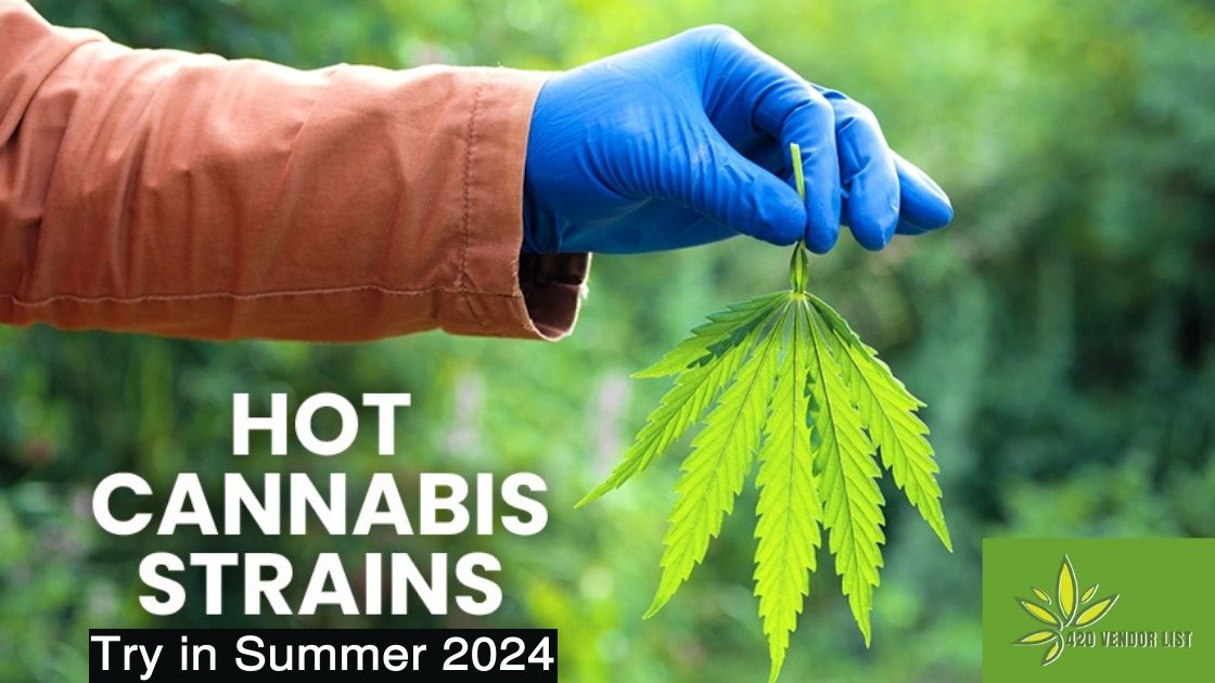 Hot Cannabis Strains to Try in Summer 2024