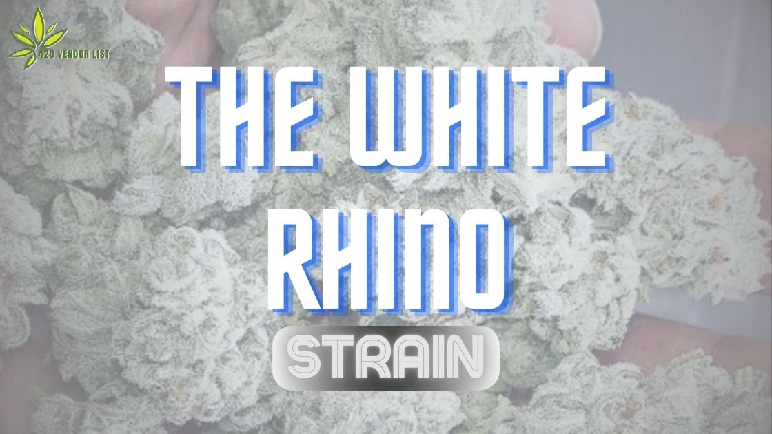 The White Rhino Strain