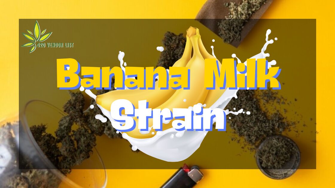 Banana Milk Strain